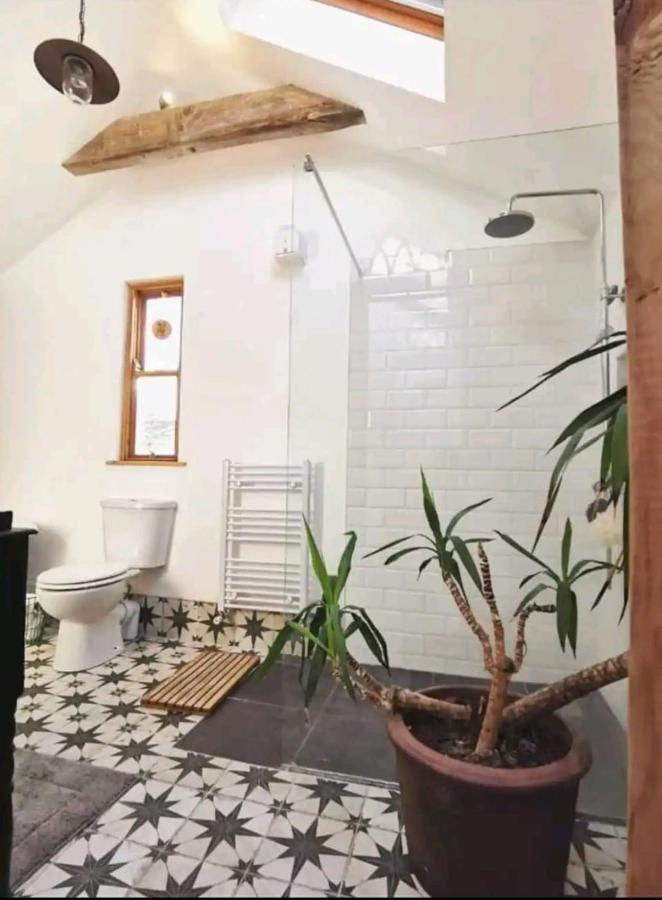 The Carton Store Loft Apt Appartement Cork Buitenkant foto